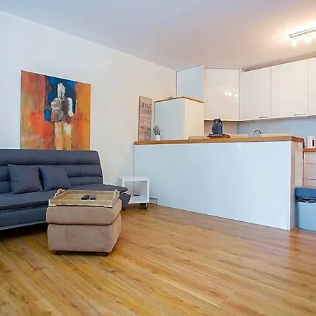 Moderne In Nahe Skigebiet Apartment *