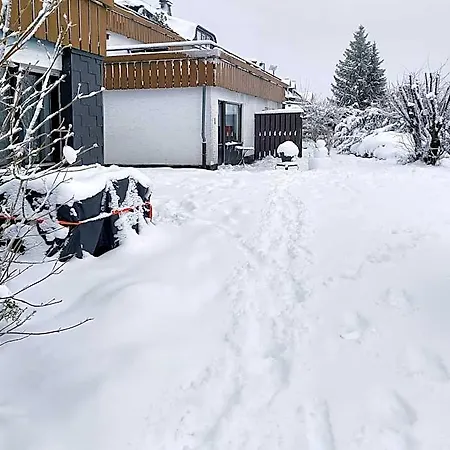 Apartment Moderne In Nahe Skigebiet