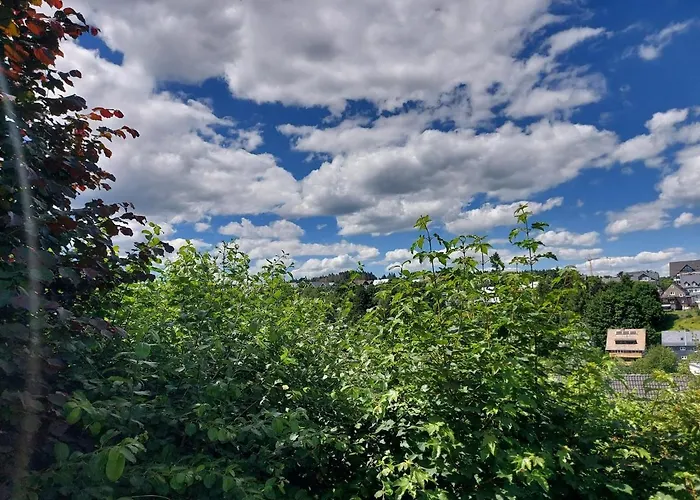 Appartement Nahe Skigebiet *